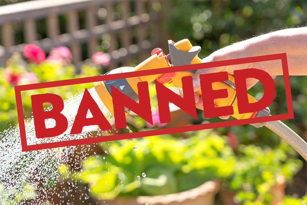 UK Hosepipe Ban – What you need to know and how to keep watering your garden!