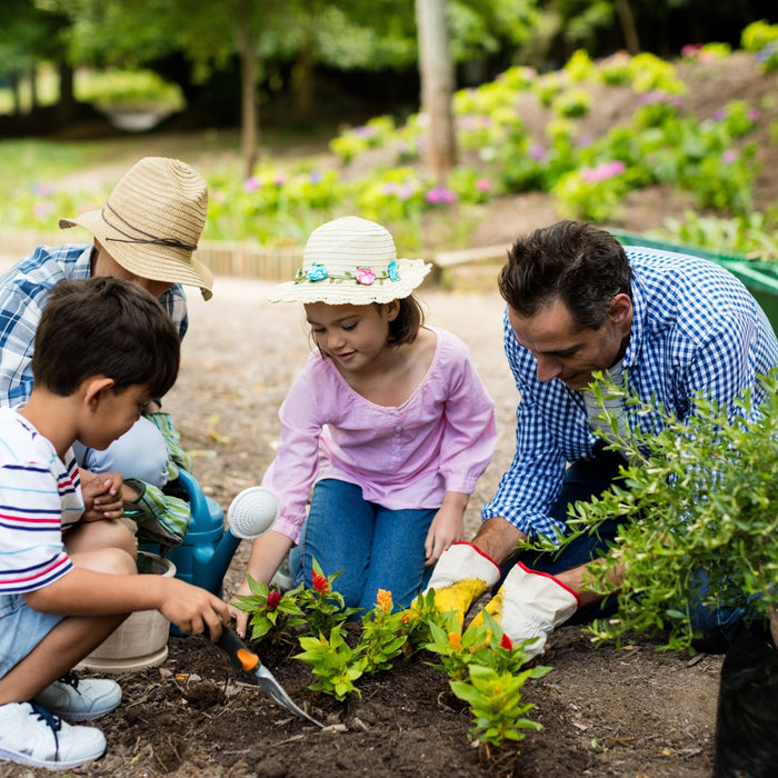 What Is the Importance of Gardening? Why Gardening Is Good For Your Health