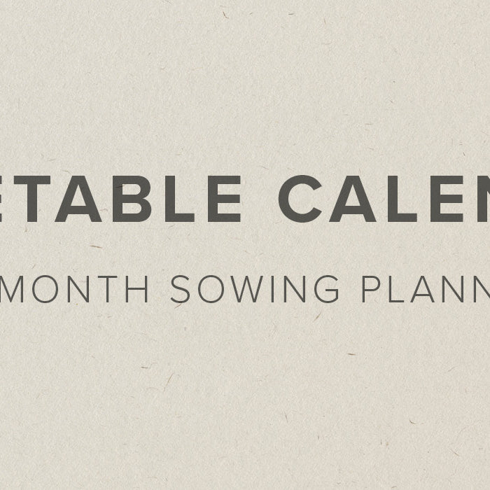 UK Vegetable Planting Calendar