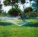 Pop Up Sprinklers and Nozzles Gardena S80 (15ft) Pop-Up Sprinkler - 1569