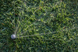 Pop Up Sprinklers Rain Bird 45°-270° R-VAN Series Nozzles