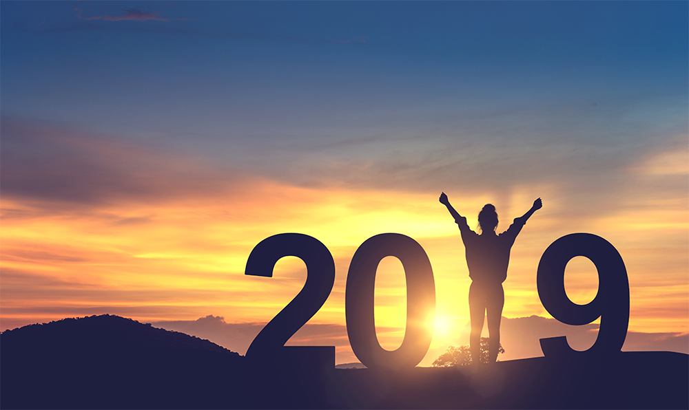 New for 2019! The Year Ahead