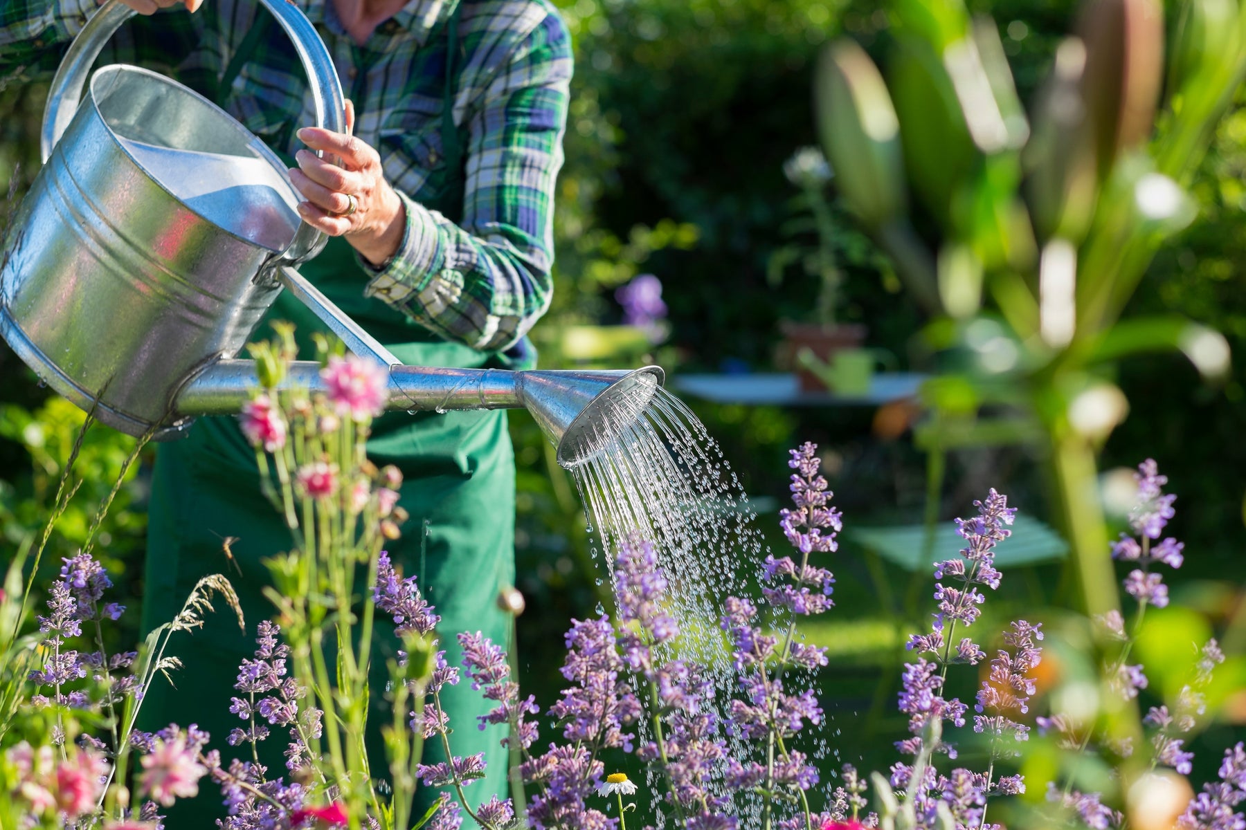 Can You Still Water Your Garden In A Hosepipe Ban?