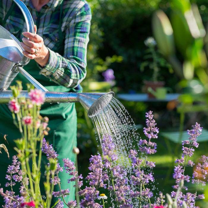 Can You Still Water Your Garden In A Hosepipe Ban?