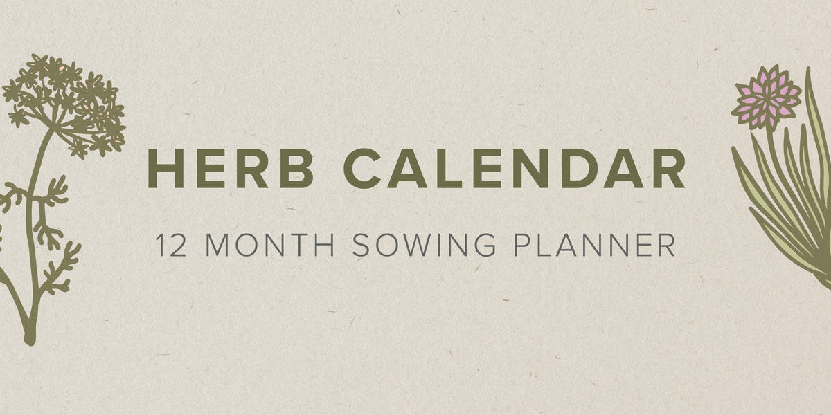 UK Herb Planting Calendar Easy Garden Irrigation