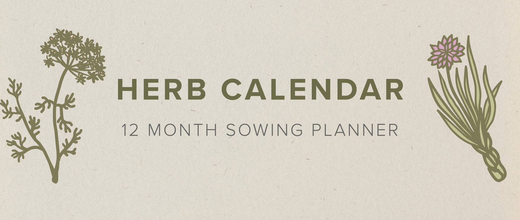 UK Herb Planting Calendar