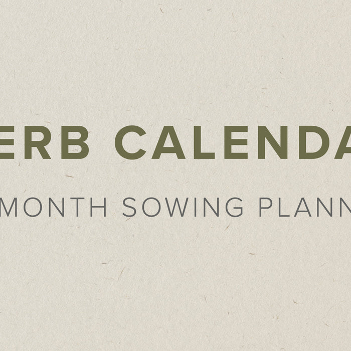 UK Herb Planting Calendar