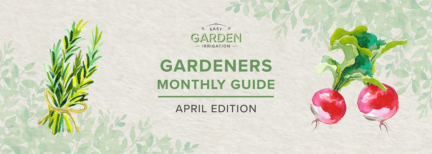 What to Do in the Garden in April: Planting, Pruning & Spring Prep