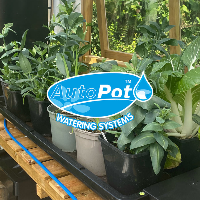 Introducing AutoPot: Revolutionise Your Greenhouse