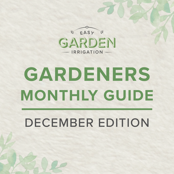 What to Do in December: Gardener's Monthly Checklist