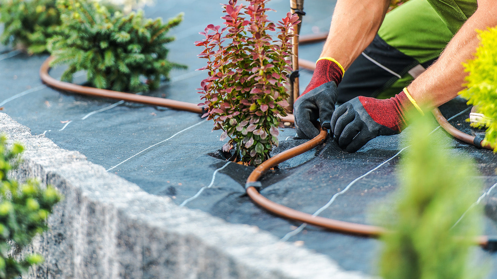 What Is The Difference Between Micro Drip Line, Drip Line and PC Drip Line?