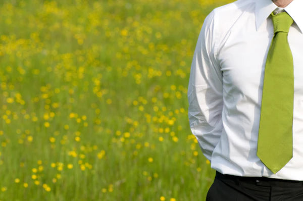 How a Business Can Be Eco-Friendly