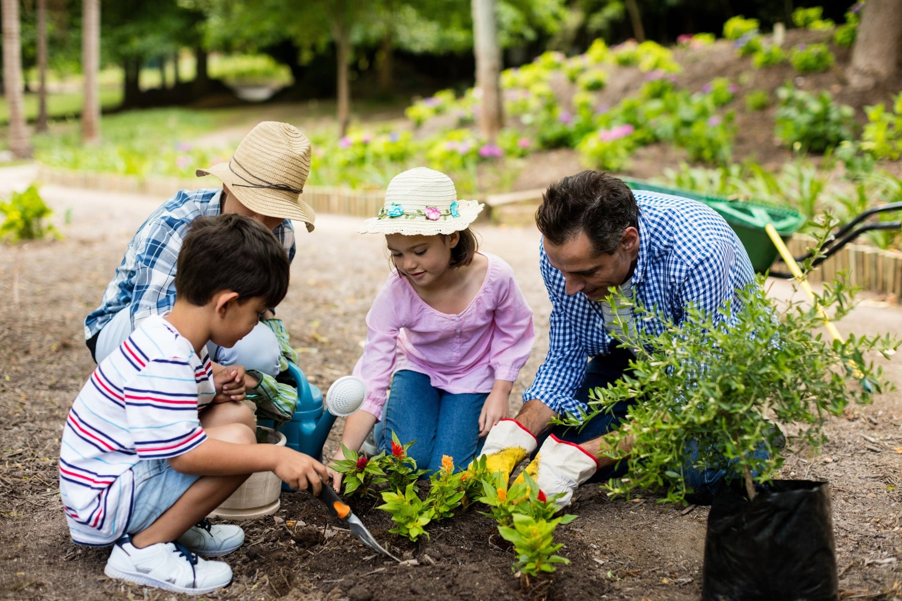 What Is the Importance of Gardening? Why Gardening Is Good For Your Health