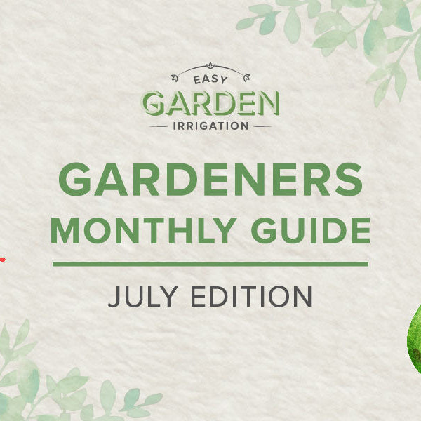 Mid-Summer Gardening Checklist: What to Do in July