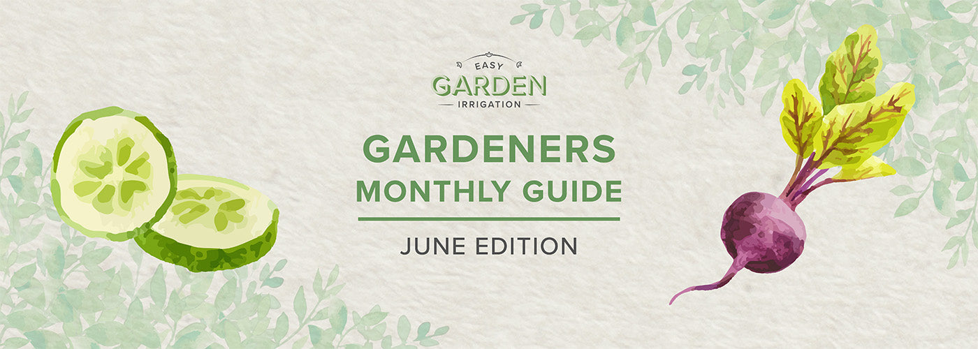 The Ultimate June Gardening Guide: Lush, Productive & Water-Wise