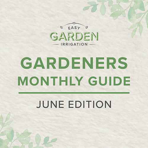 The Ultimate June Gardening Guide: Lush, Productive & Water-Wise