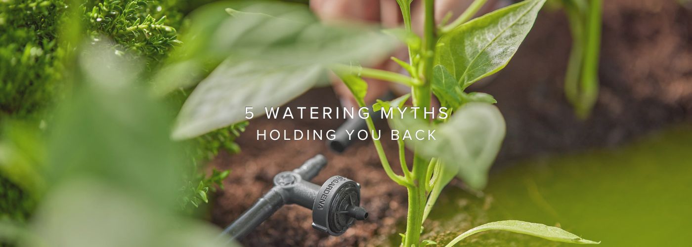 5 Watering Myths That Could Be Holding Your Garden Back