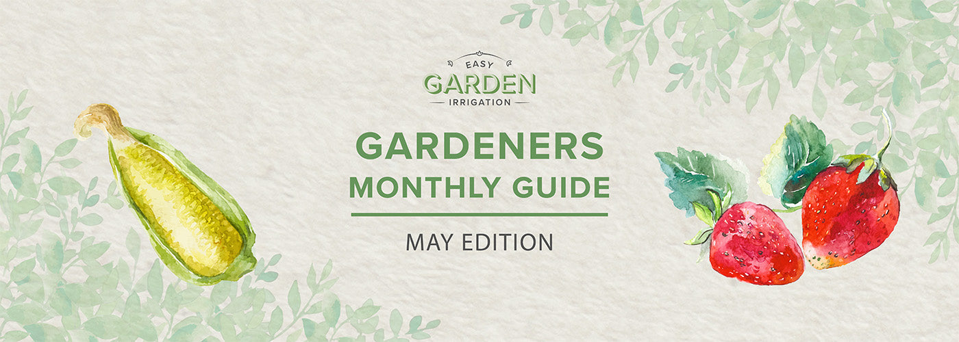 May Gardening Guide: Garden Watering, Irrigation Tips & What to Plant Now