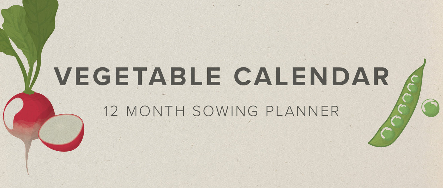 UK Vegetable Planting Calendar Easy Garden Irrigation