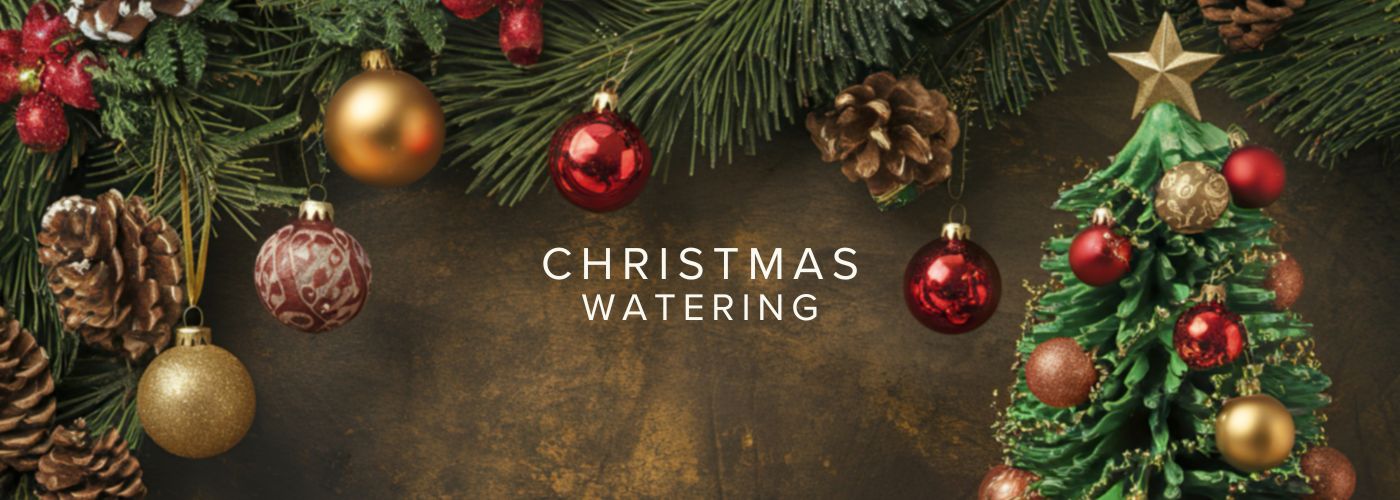 How to Water Christmas Plants