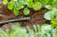 4.6mm Irrigation Pipe and Fittings Default Gardena Micro End Plug 4.6mm (10 Pack) - 13215