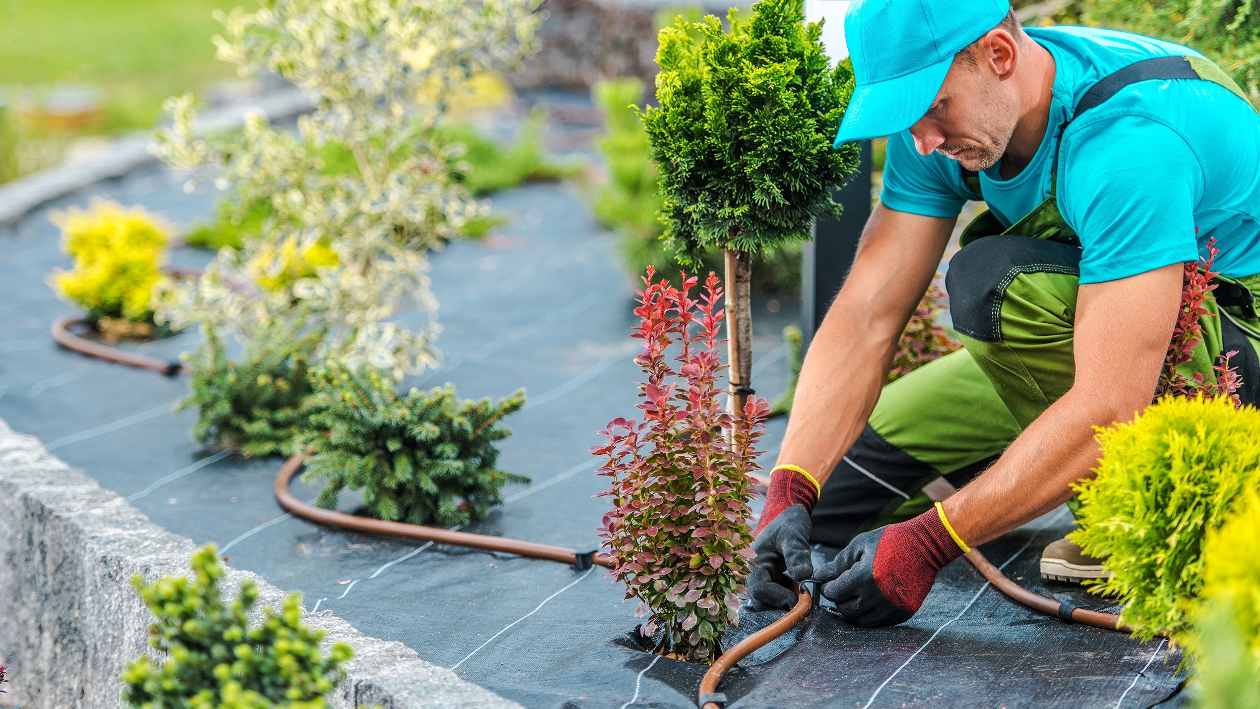About Easy Garden Irrigation The UK’s Irrigation Specialist