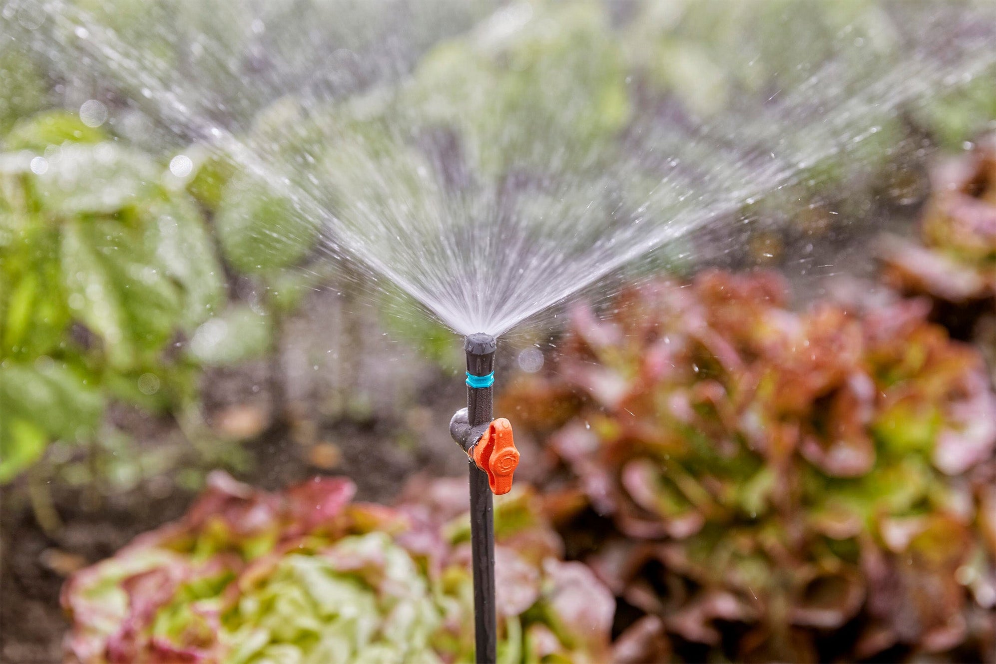 Kit Gardena Gardena Sprinkler Kit | Gardena Sprinkler Costco – OSMIE