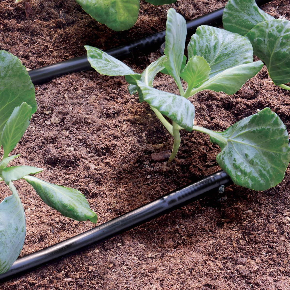 Claber Drip Line 50 Metre 13mm - 90357 — Easy Garden Irrigation