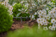Drippers Default Gardena Endline PC Dripper 2LPH (10 Pack) - 13302