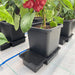 Greenhouse Watering Systems AutoPot 4Pot System