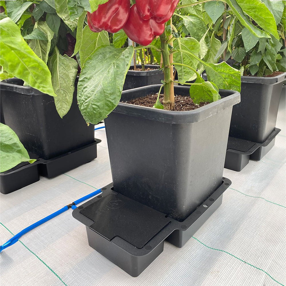 AutoPot 4Pot System | Easy Garden Irrigation