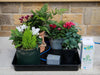Greenhouse Watering Systems AutoPot Easy2GO Kit