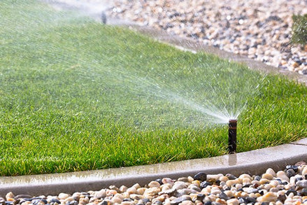 How to Set Up an Automatic Lawn Watering System: Easy Steps for a Lush Lawn