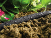 Soaker Hose - 13mm FITT Ecodrop Soaker Hose 15m - 13mm