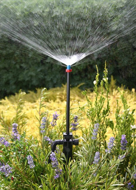 Micro Sprays Planning and Installation Guide — Easy Garden Irrigation