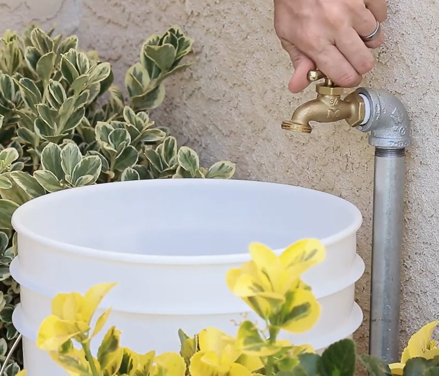 Flow Rate