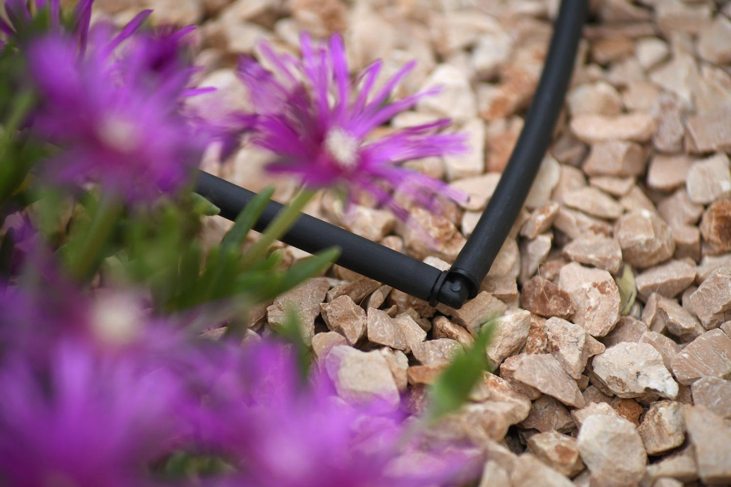 Hozelock Elbow Connector 4mm (12 Pack) 7037 Easy Garden Irrigation