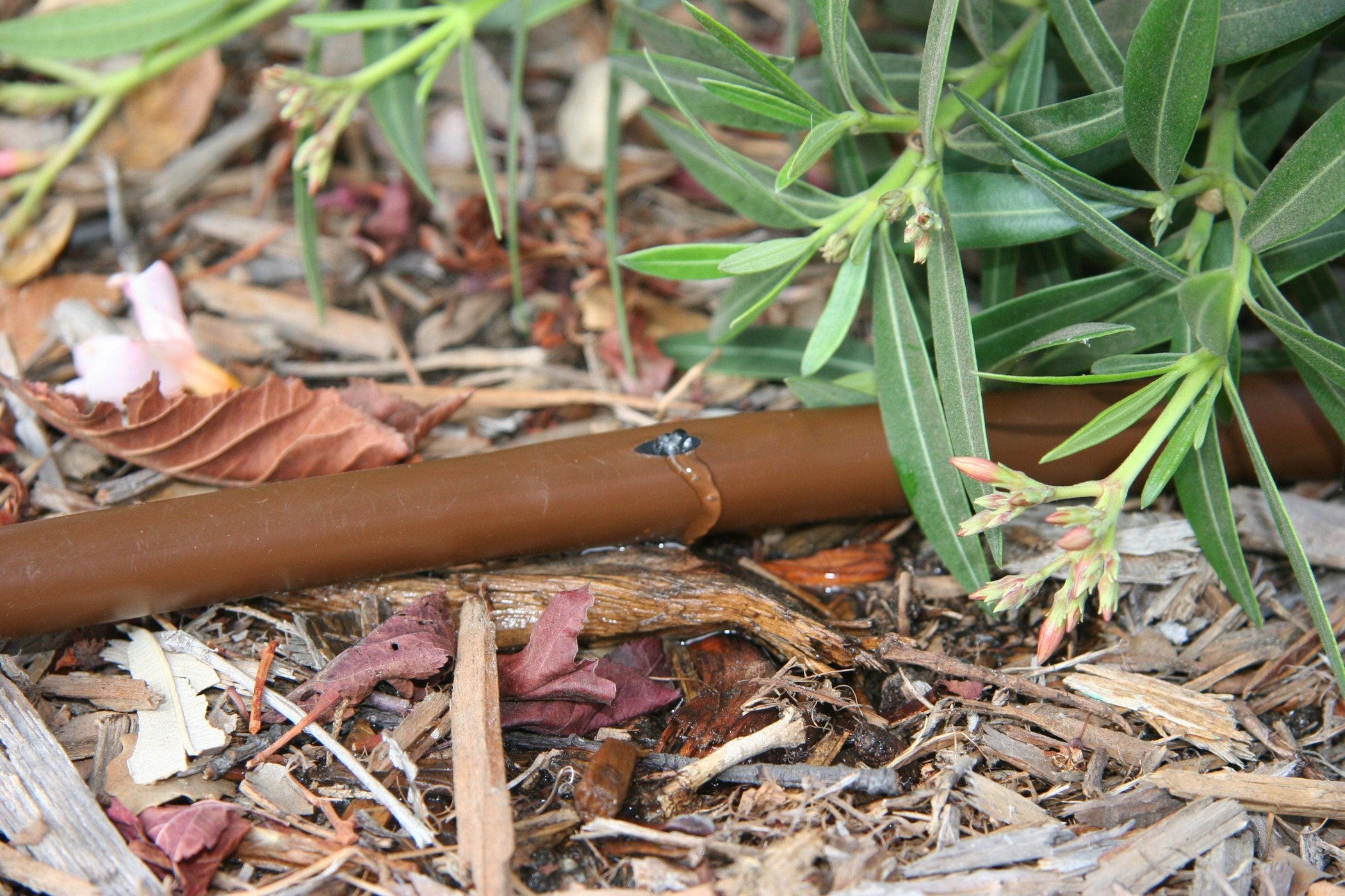 Rain Bird Drip Line 100 Metre Pressure Compensating — Easy Garden Irrigation