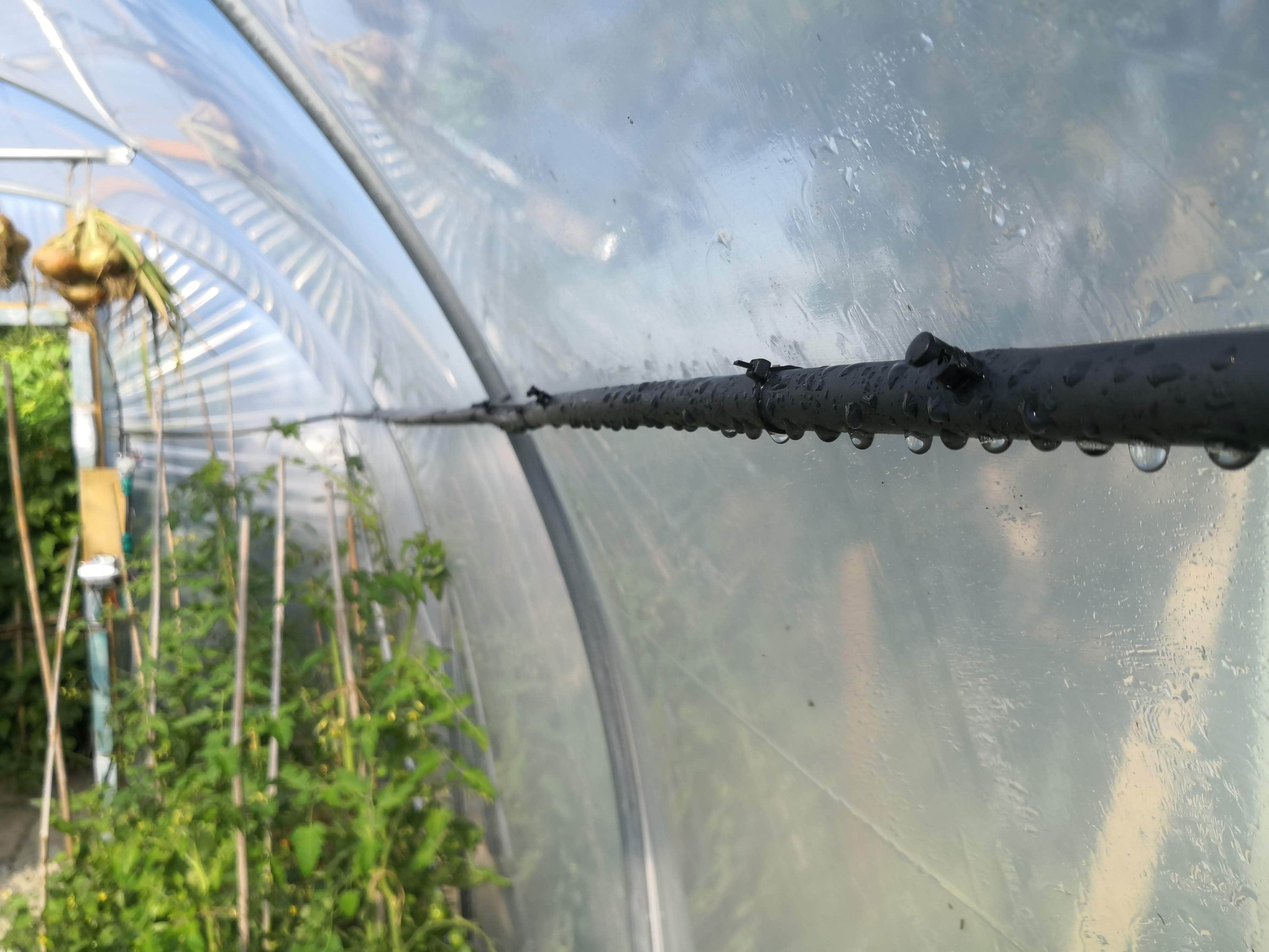 WaterMate Pro Automatic Greenhouse & Polytunnel Watering Kit — Easy