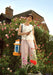 Hozelock Pressure Sprayers - Hozelock Pressure Sprayer Plus 7 Litre - 4707