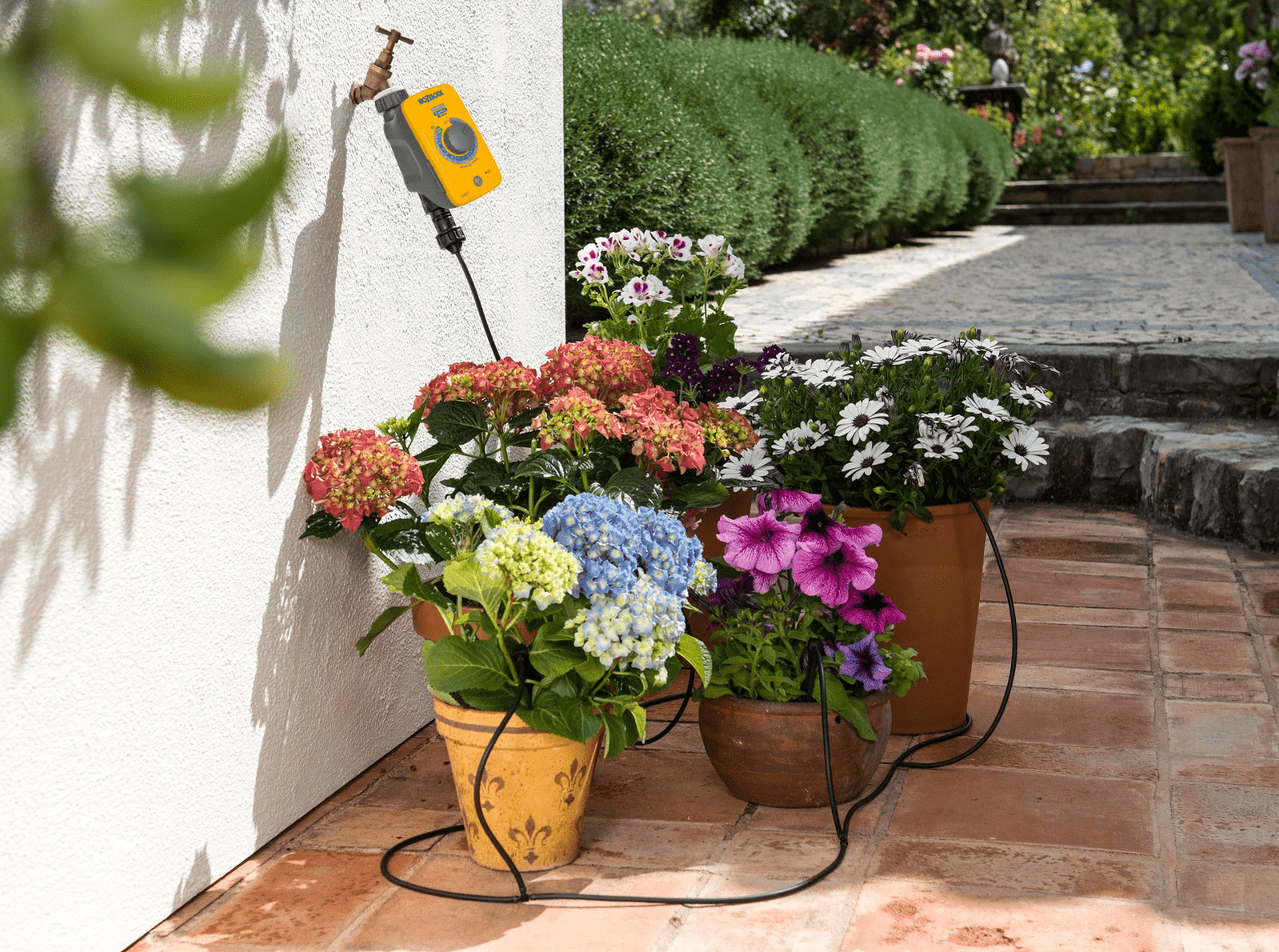 Hozelock 20 Pot Automatic Watering Kit Plus 2803 — Easy Garden Irrigation
