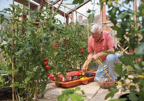 Hozelock Watering System - Hozelock Growbag Watering Kit - 2810