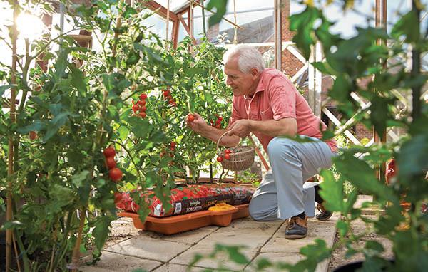 Hozelock Watering System - Hozelock Growbag Watering Kit - 2810