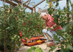 Hozelock Watering System - Hozelock Growbag Watering Kit - 2810