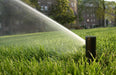 Pop Up Sprinklers - Rain Bird 5004 Pop Up Sprinkler