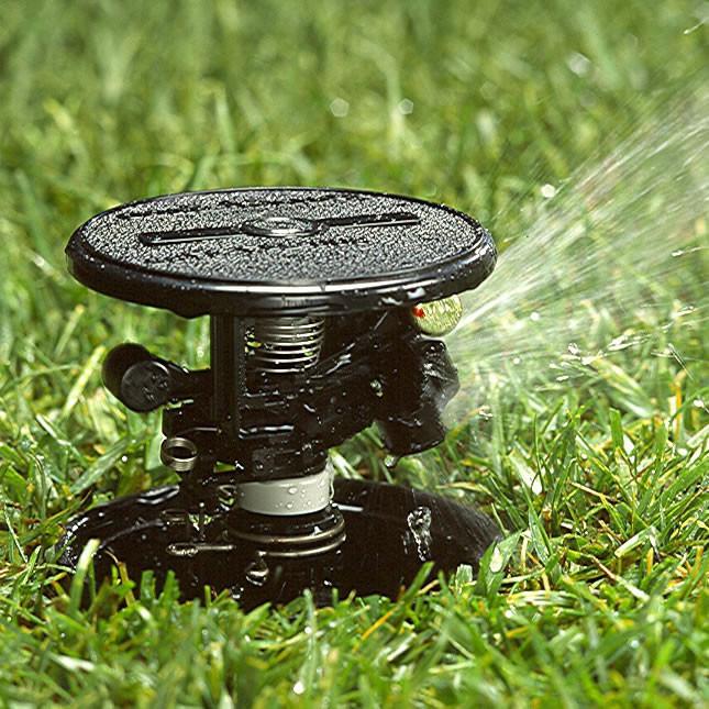 Rain Bird Maxi-Paw Pop Up Impact Sprinkler — Easy Garden Irrigation